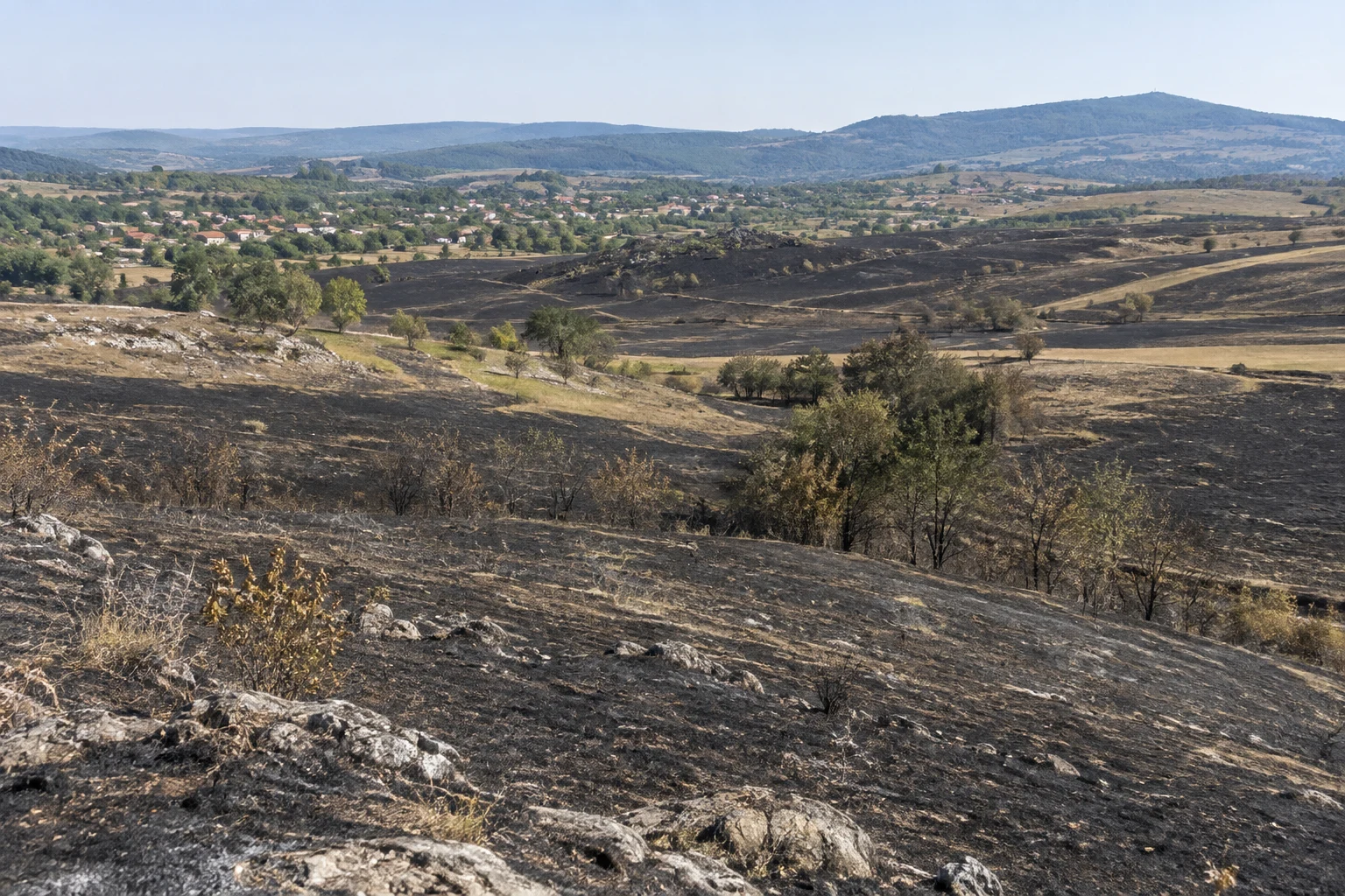 ISU Timiș: 95+ hectare vegetație în flăcări — Breazova, Hezeriș, Pietroasa Mare