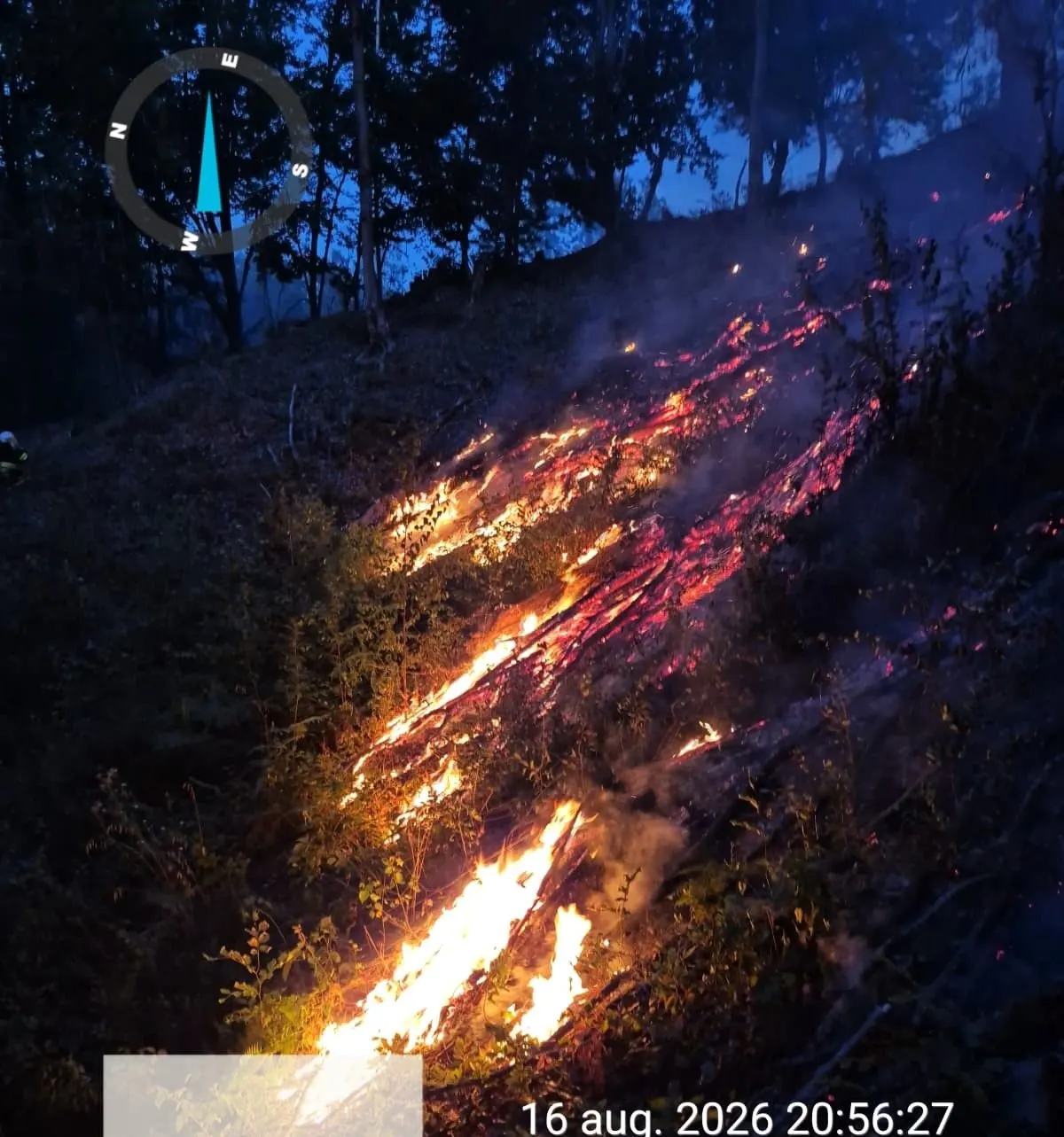 17 incendii de vegetație în zona Făgetului: peste 300 de hectare afectate în weekend