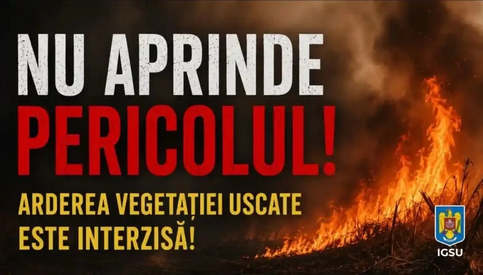 Weekend în Timiș: 32 ha de vegetație arsă și foc de pădure la Ohaba Lungă